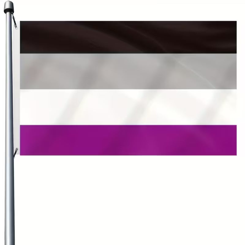 ACE Asexuell Pride Flagge aus Polyester am Fahnenmast mit den Farben Schwarz, Grau, Weiss und Violett – LGBTQIA+ Flagge im Format 90 × 150 cm.