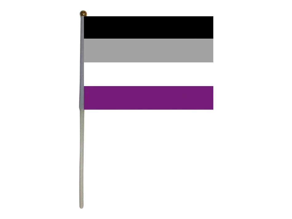Asexual Pride Handflagge mit schwarzen, grauen, weißen und violetten Streifen an Flaggenstab
