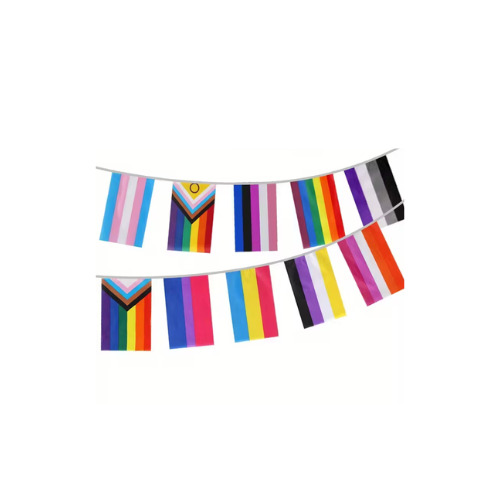 Assortierte Pride Mini-Flaggen-Girlande mit verschiedenen LGBTQIA+ Designs in Regenbogenfarben.