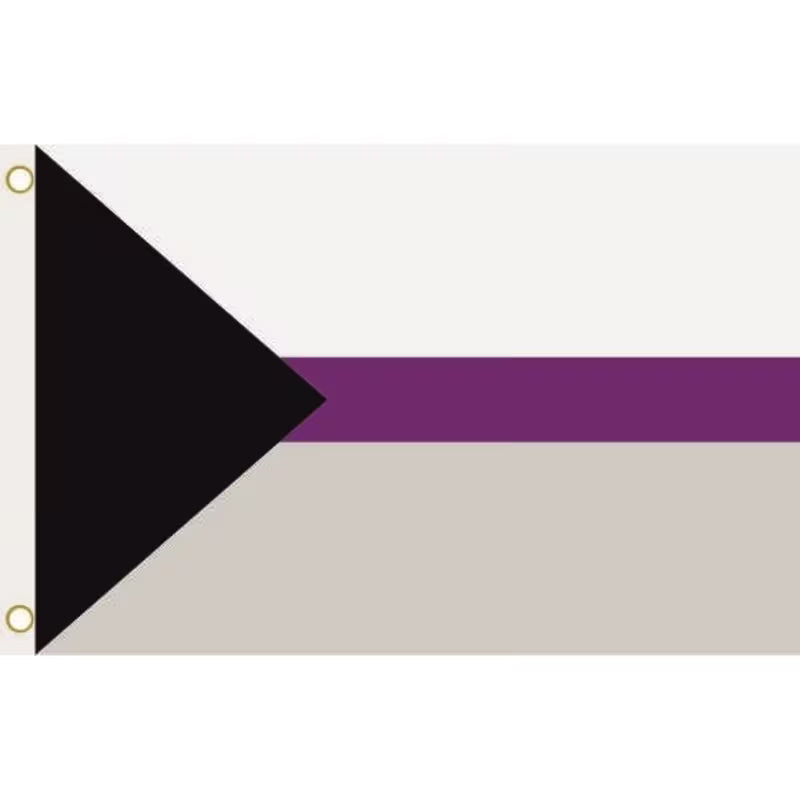 Demisexuell Pride Flagge aus Polyester mit schwarzem Dreieck sowie weissen, violetten und grauen Streifen im Format 90 × 150 cm – LGBTQIA+ Fahne mit Metallösen für Pride, CSD und Dekoration.