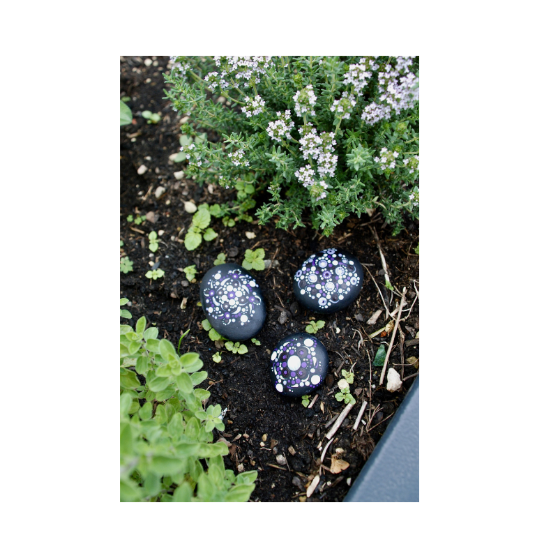 Drei handbemalte Dotting-Steine im feministischen Pride-Design liegen als Dekoration in einem Gartenbeet