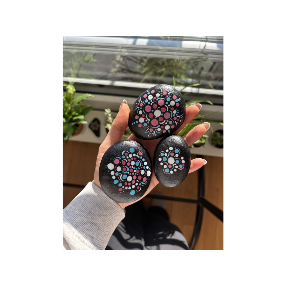 Handbemalte Dotting-Steine im Transgender-Pride-Design, 3er-Set dekorativer Kunststeine in der Hand gehalten