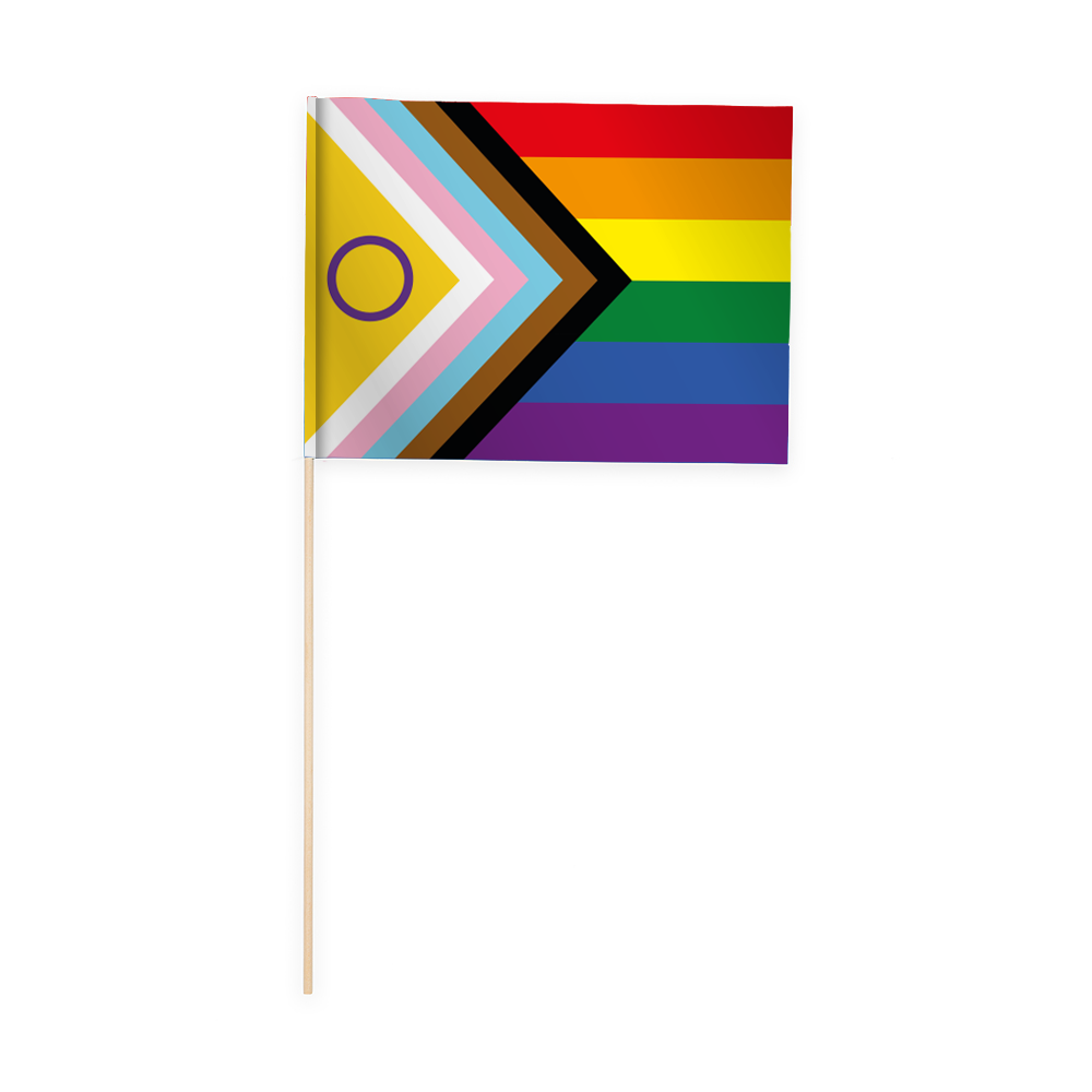 Intersex Progress Pride Flag 20x30 cm Papier Fahne einzeln