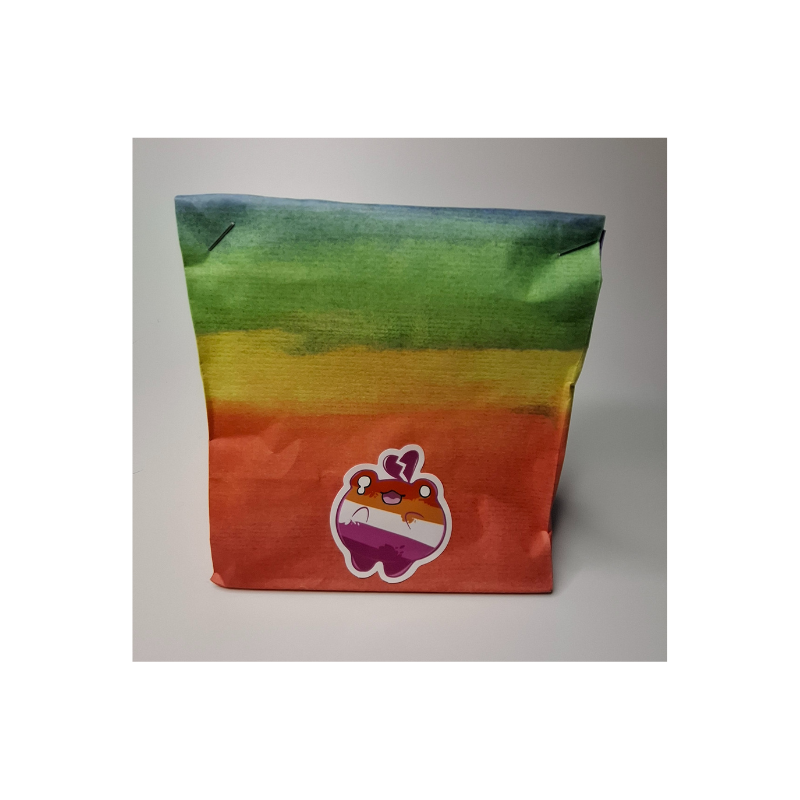 Kleine Pride Überraschungstüte lesbisch mit Farbverlauf und Motiv auf der Vorderseite