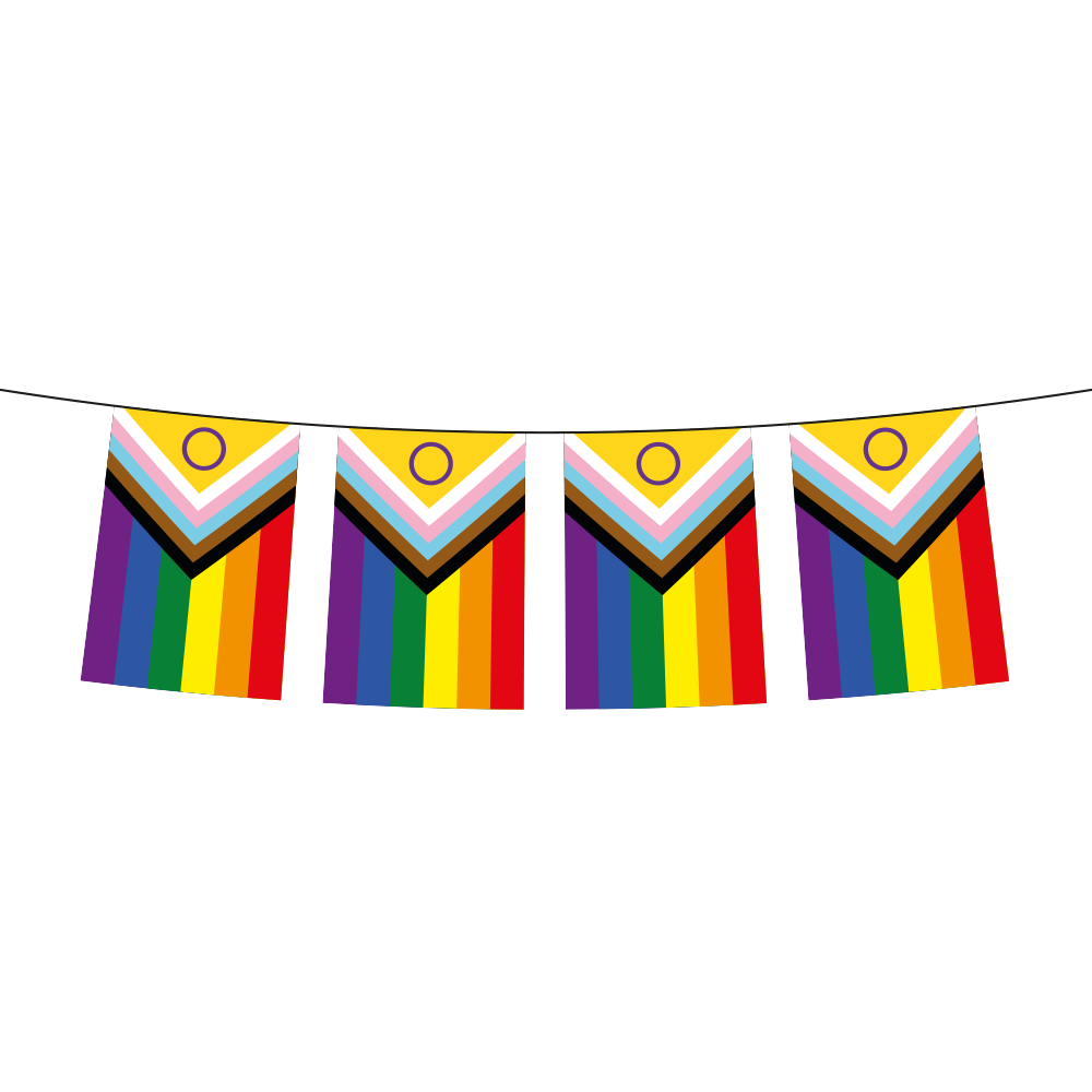 Pride Girlande mit Intersex Progress Flag 20x30 cm Wimpelkette