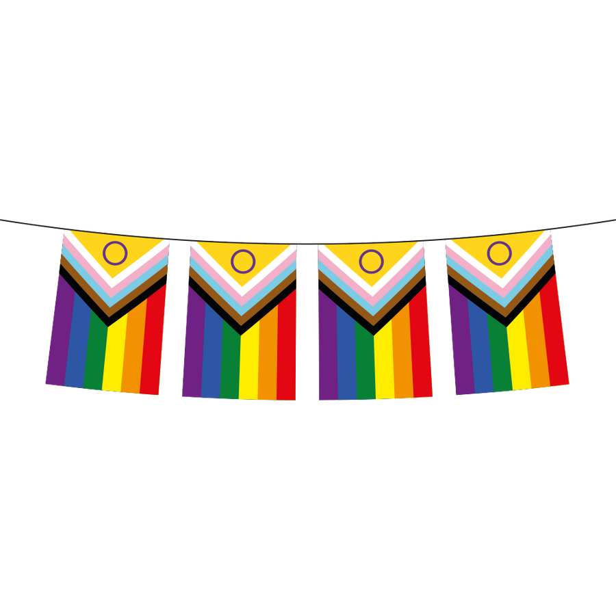 Pride Girlande mit Intersex Progress Flag 20x30 cm Wimpelkette
