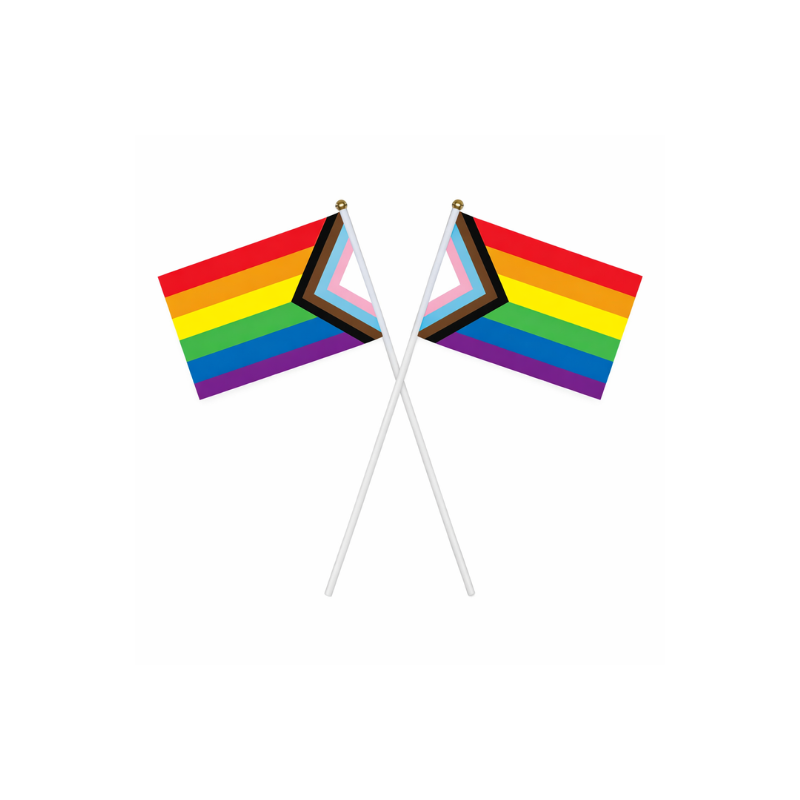 Zwei Progress Pride Handflaggen als Symbol für Vielfalt und Inklusion. Mit Chevron für trans*, inter* und BIPoC Sichtbarkeit. Ideal für Pride & CSDs.