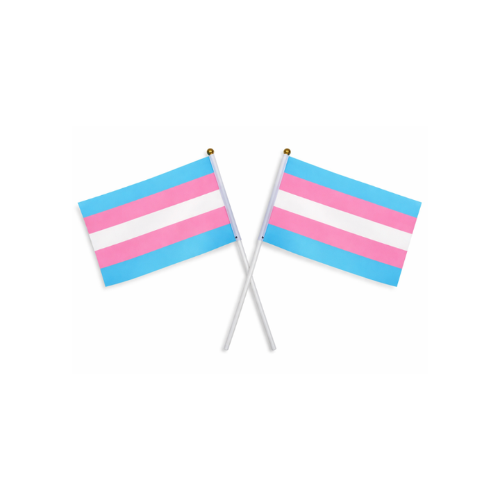 Zwei Trans Pride Handflaggen mit den Farben der Transgender Flagge, gekreuzt dargestellt